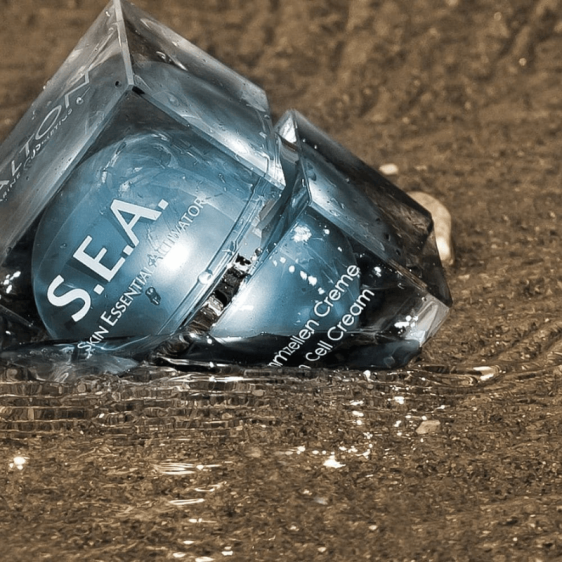 Texture Dalton Sea Cellules Souches Marines Crème – crème soyeuse hydratante anti-âge